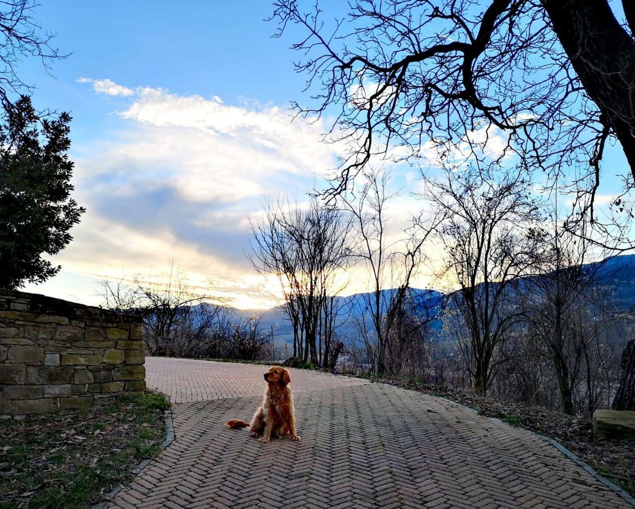 Agriturismo Il Salice Tizzano Val Parma エクステリア 写真